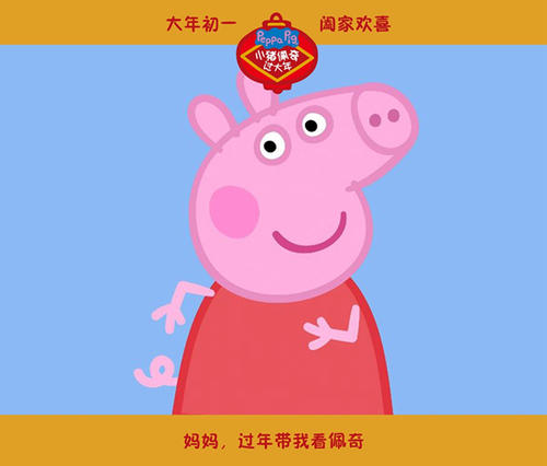 哪里能办军牌
